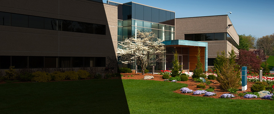 Newmarket Landscapers