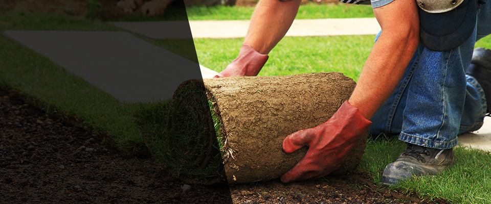 Newmarket Landscapers